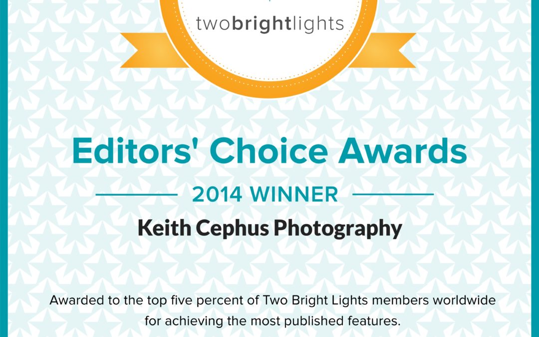 Cephus Receives Prestigious Award,  2014 Two Bright Lights Editors’ Choice Award!